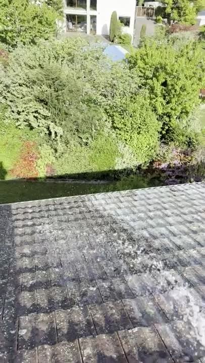 Hydrofuge après démoussage